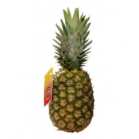 Piña del Monte